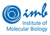 institute of molecular biology